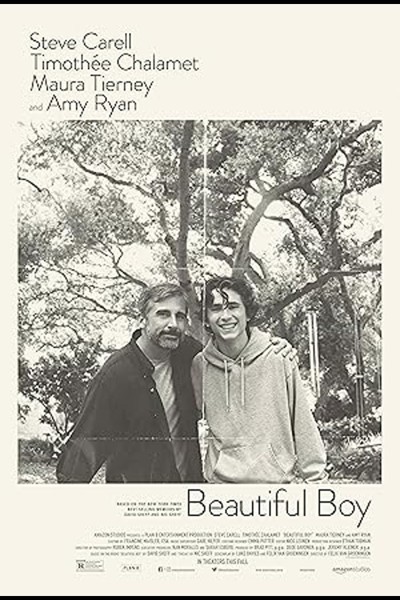 Poster de Beautiful Boy